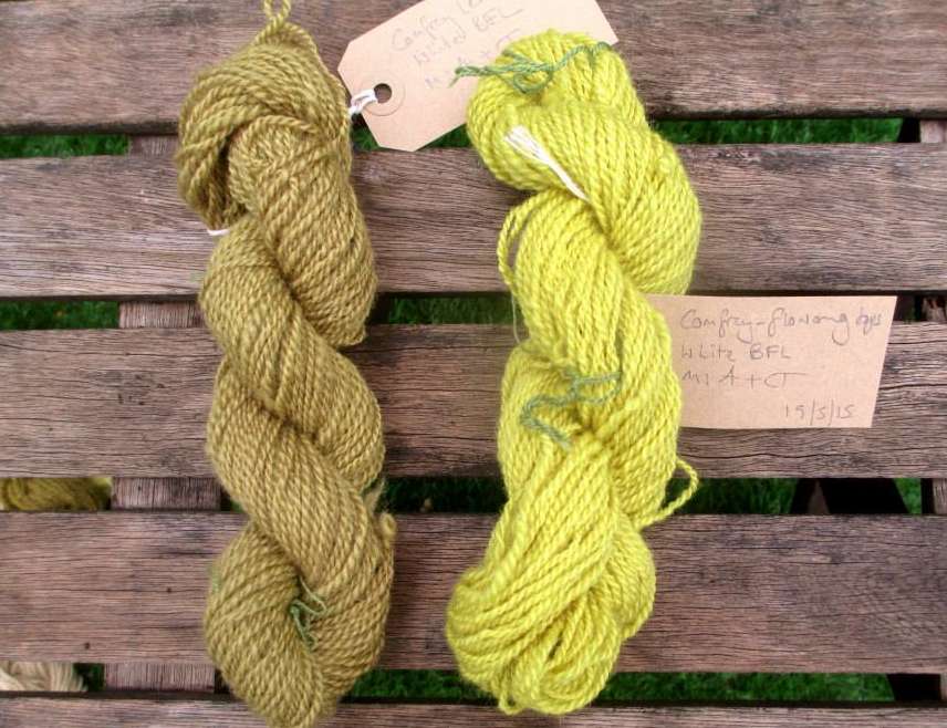 Skeins of Bluefaced Leicester handspun yarn dyed with comfrey.