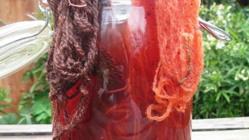 Yarns in madder solar dye pot 1 showing colour