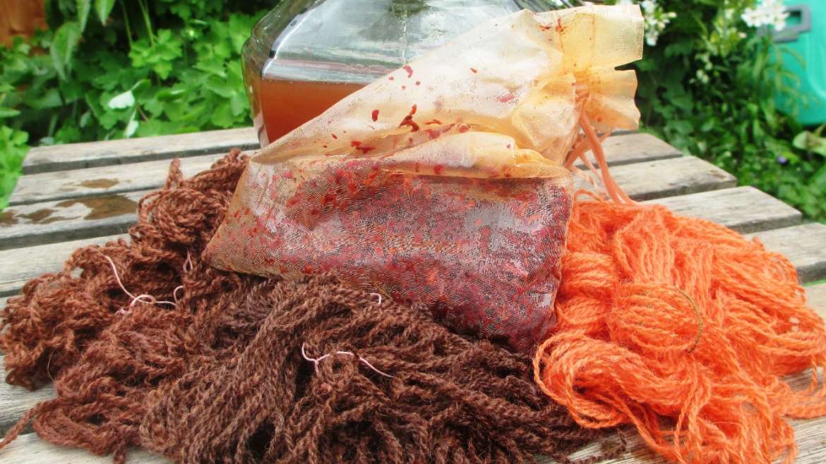 Solar dye pot 2 with the madder in its bag and the yarns showing the colours