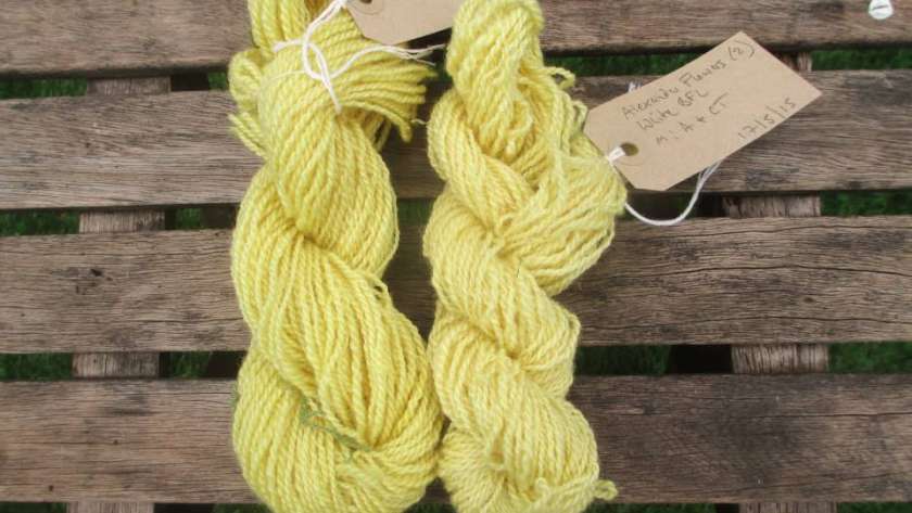 Skeins of handspun BFL dyed with Alexanders