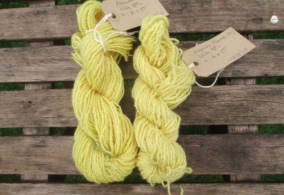 Skeins of handspun BFL dyed with Alexanders