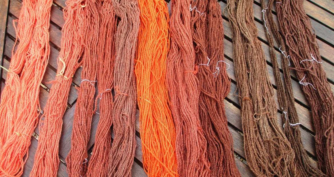 Skeins of handspun Bluefaced Leicester dyed with madder
