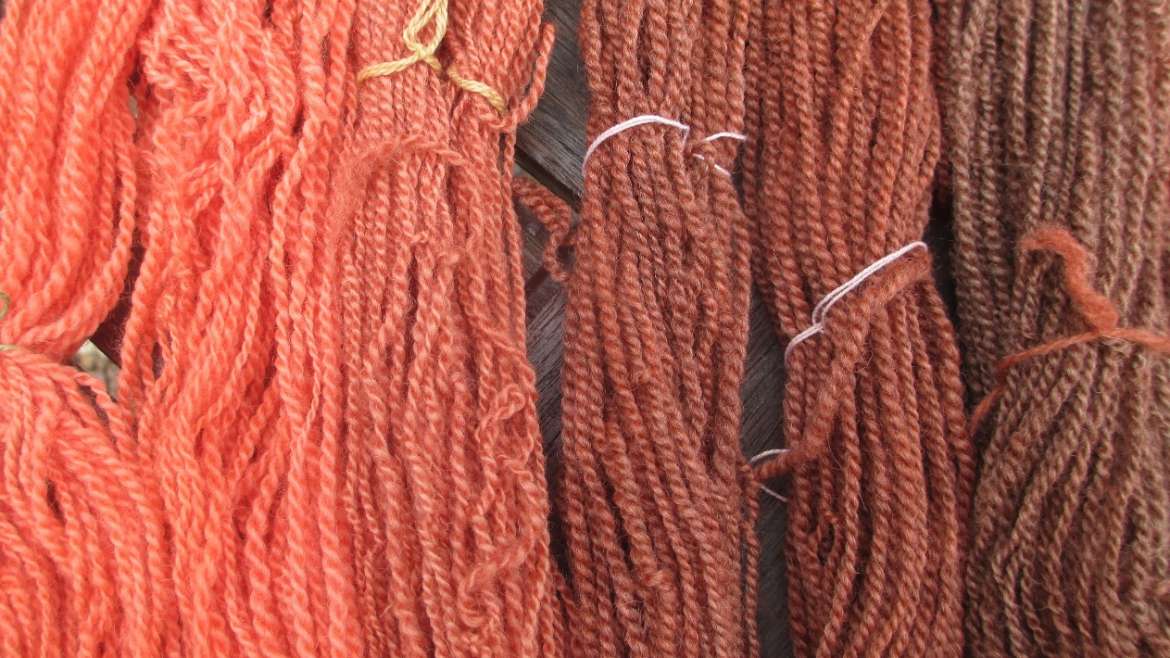 Skeins of handspun Bluefaced Leicester from solar dye pot 1