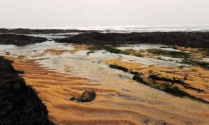 Rock pools and sand at Constantine Bay in 2017 (c) Madeleine Jude Ltd