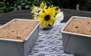 Madeleine's Danish Rugbrød - risen and ready to bake