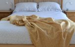 Melyn throw - one of my Trevose Head Collection