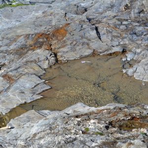 Rock pools at Trevose Head (c) Madeleine Jude Limited 2017