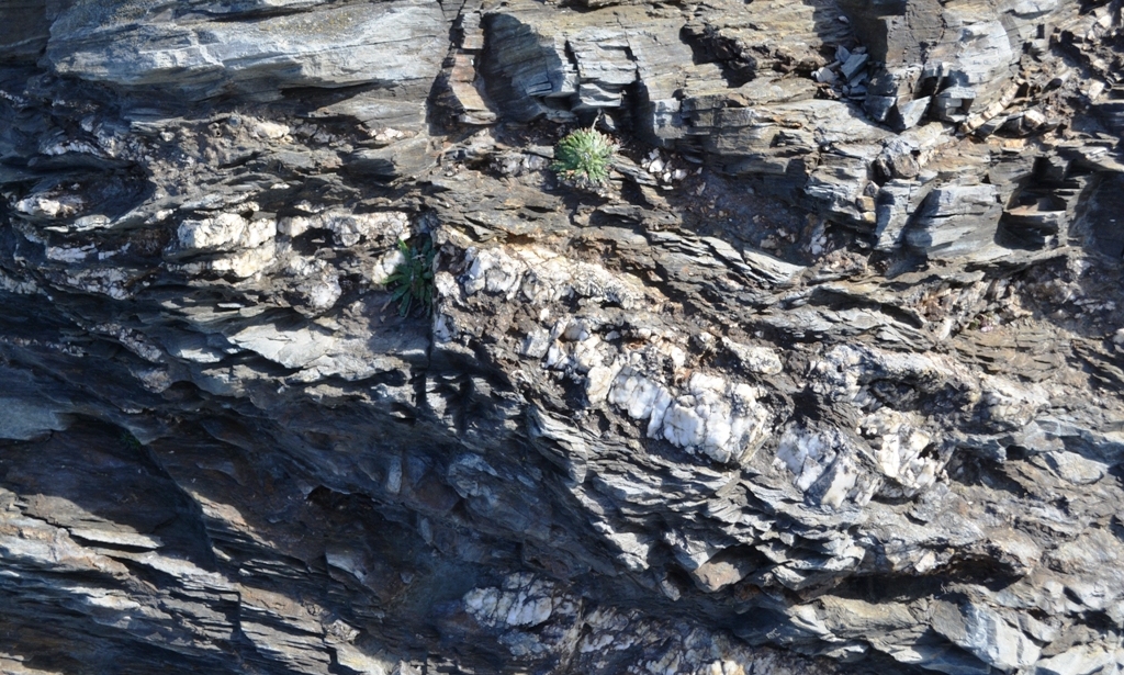 Rock formation at Trevose Head
